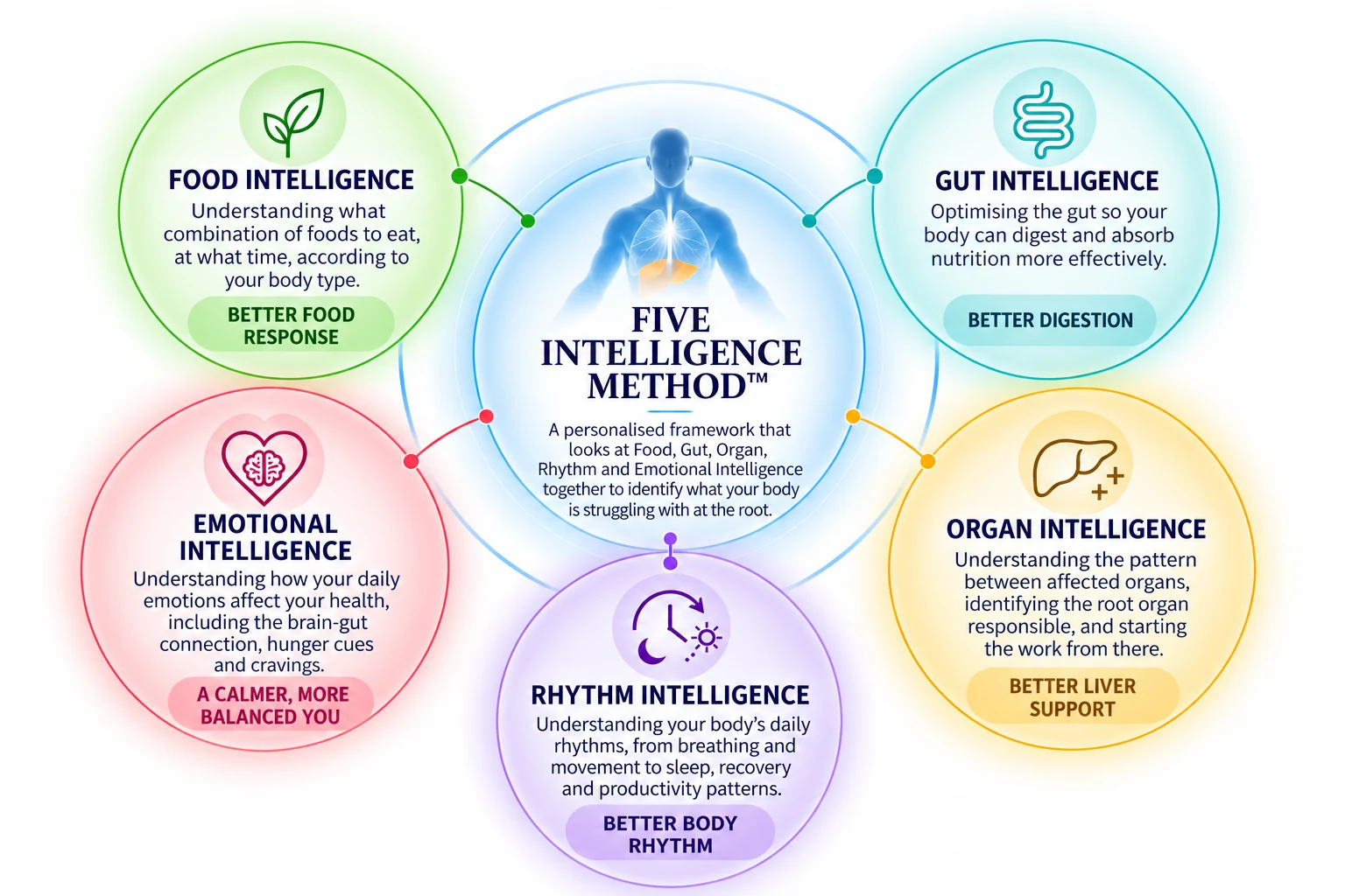 The Five Intelligence Method: Food, Gut, Organ, Rhythm and Emotional Intelligence